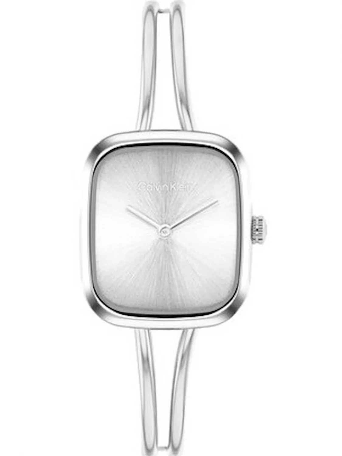 CALVIN KLEIN 25100131